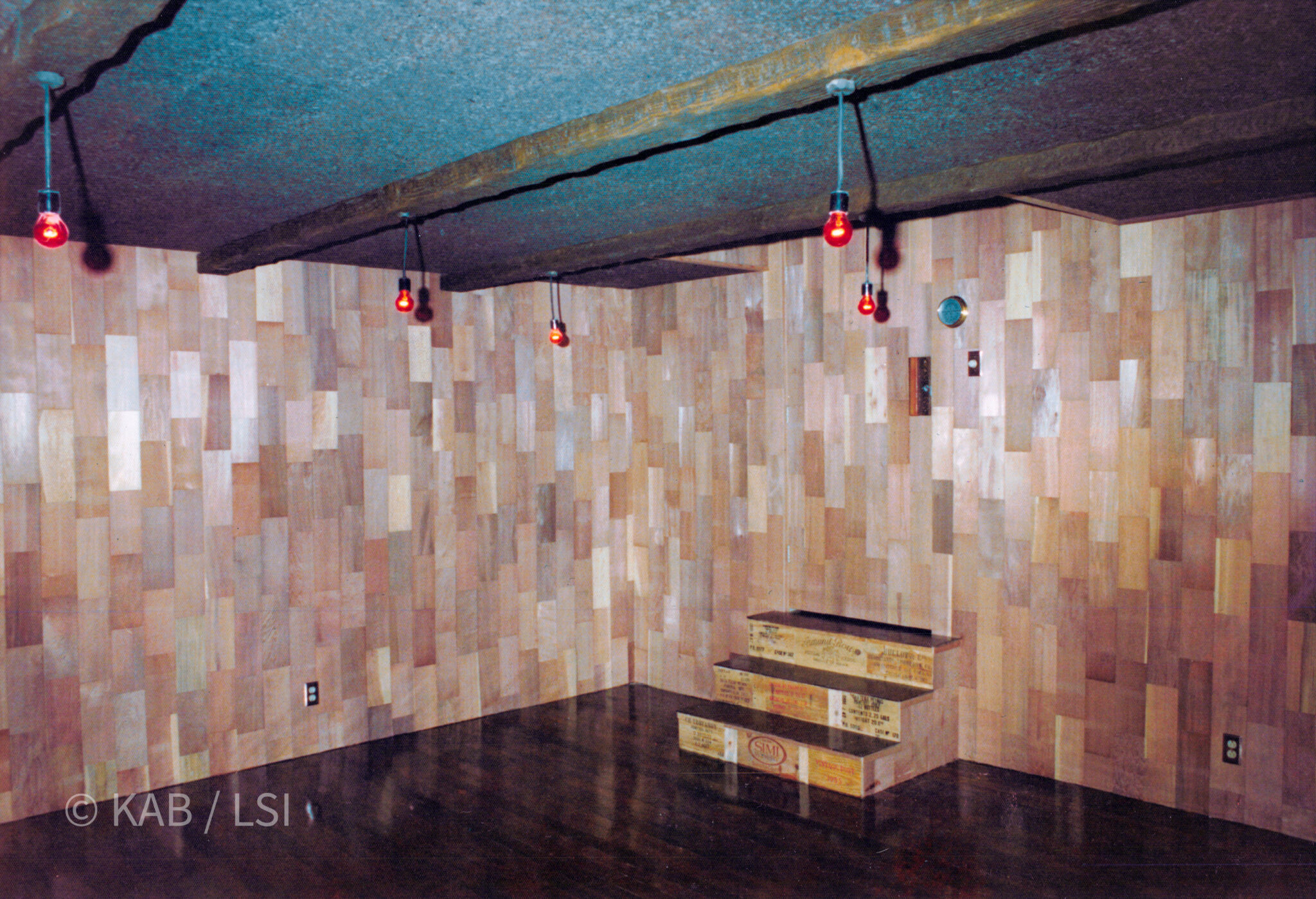 Dr. Garry Whitlow's Cellar — Hollywood Hills