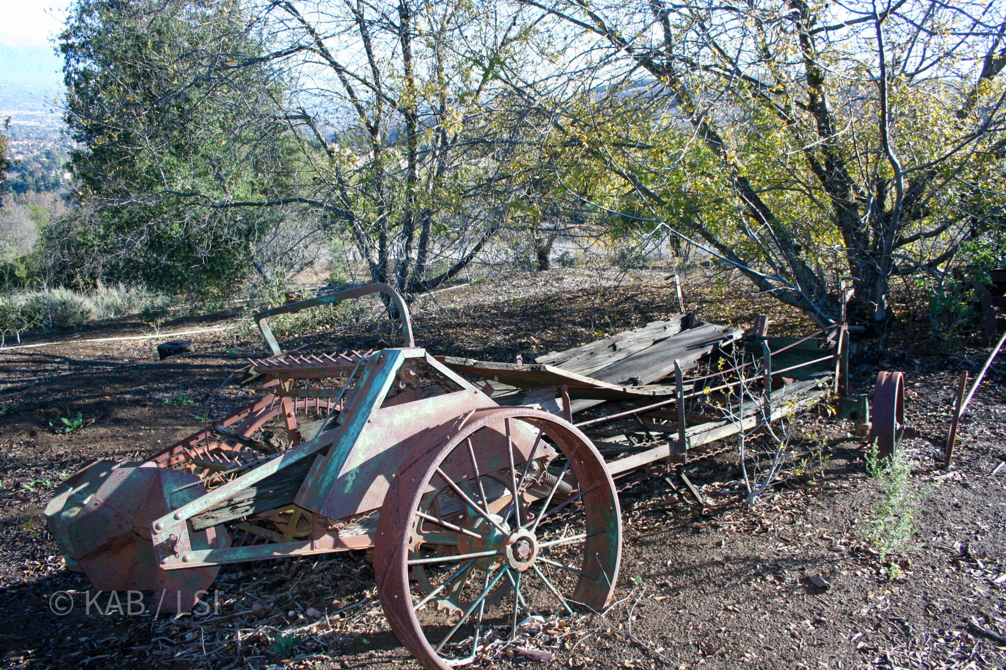 Antique farm equipment rusting on a La Habra Heights hillside, the wooden frame and metal wheels visible against the dry ground